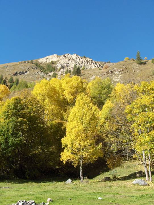 depuis Prattier 